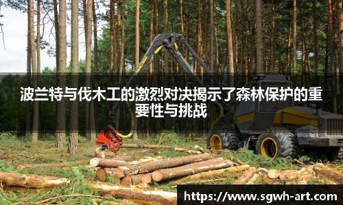 球速体育