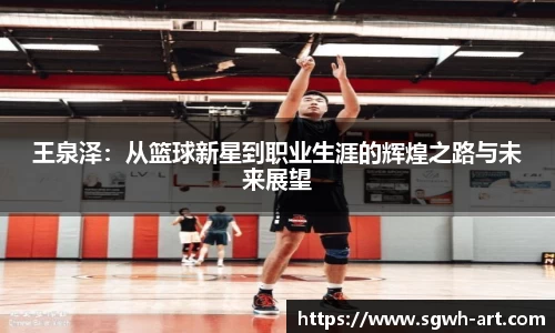 球速体育官网